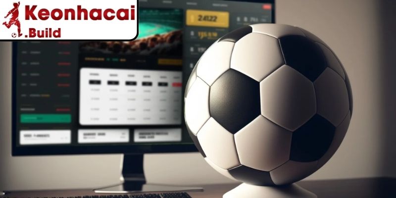 Trải nghiệm cá độ trực tiếp