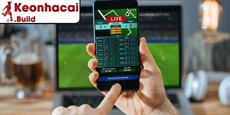 Tổng quan về odds Âu và odds Á trong cá cược
