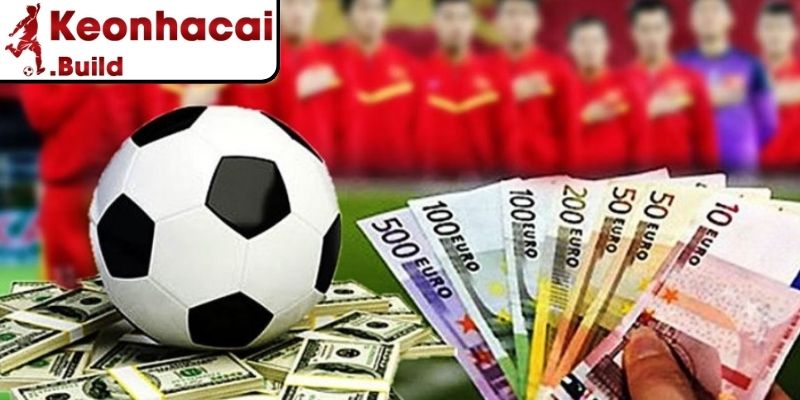 Khái niệm tiền cỏ và bản chất hoàn tiền
