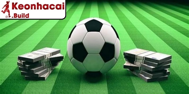 Kinh nghiệm tận dụng vốn cỏ hiệu quả và an toàn