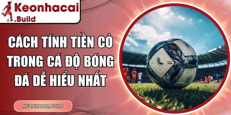 Cách Tính Tiền Cỏ Trong Cá Độ Bóng Đá Dễ Hiểu Nhất 8 Cách tính tiền cỏ trong cá độ bóng đá