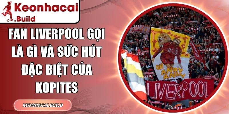 Fan Liverpool Gọi Là Gì