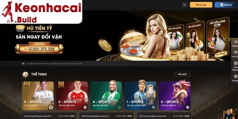 Thông tin hoạt động cùng định hướng phát triển
