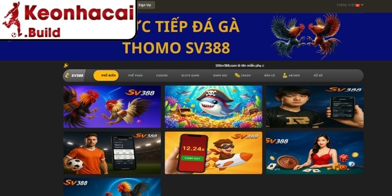 Nền tảng hoạt động với định hướng phát triển
